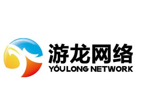 福建游龙网络科技