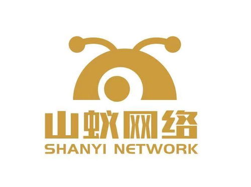 四川山蚁网络科技