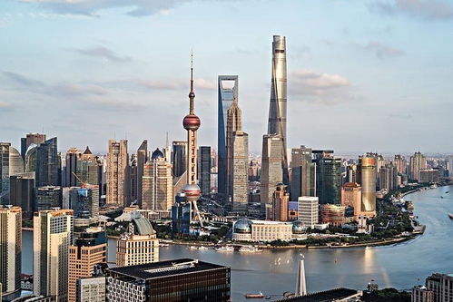新闻中心 上海竹月网络科技