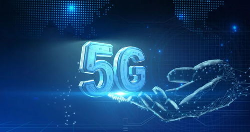 张海懿 5g承载光模块产品化能力基本具备