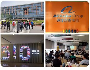 互联网公司都在996 咱们去阿里 和ibm一探究竟