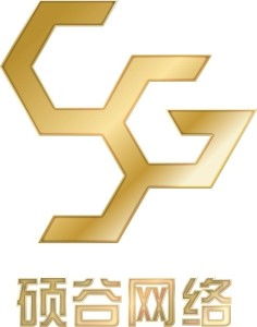 中山市硕谷网络科技 引领数字化转型的新兴力量