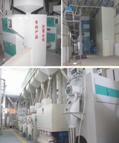 科技赋能，品质为本 揭秘大米企业赢得尊敬与信赖的秘诀