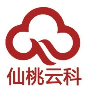 仙桃云科网络科技 引领数字化未来的先锋