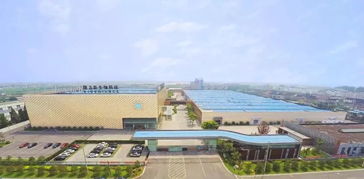 隆力奇 坚守大健康产业，以网络科技赋能民族品牌振兴之路